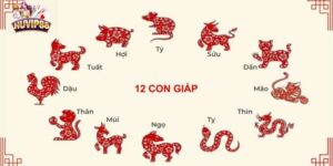 Lô Đề 12 Con Giáp Là Gì – Bí Quyết Soi Cầu Chuẩn Xác