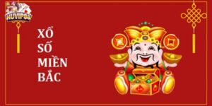 Kết Quả Xổ Số Miền Bắc: Cập Nhật Nhanh và Chính Xác Nhất